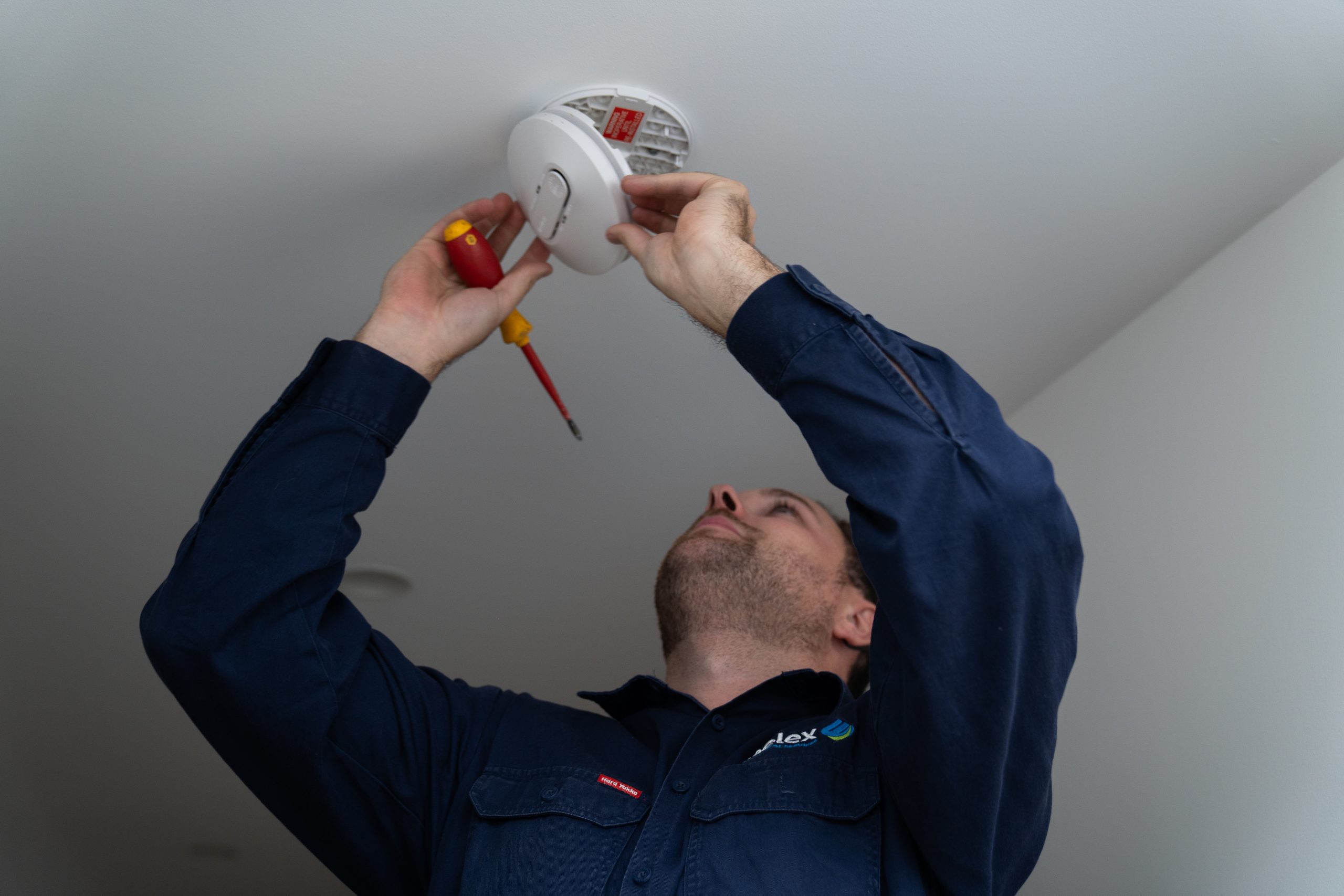 electrician in eltham